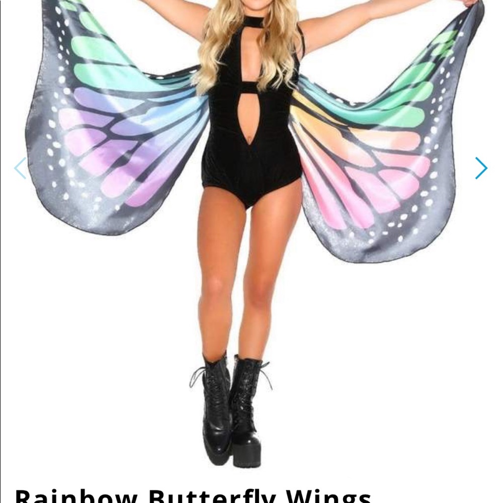 Rainbow butterfly wings
